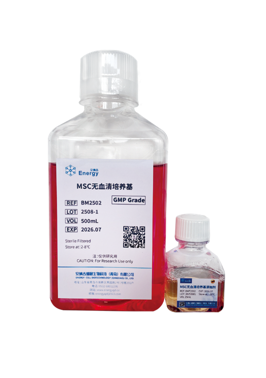 GMP级—人间充质干细胞（MSC）培养试剂盒